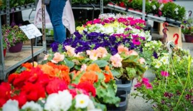 Le Marché de Printemps fait refleurir la Grand Place