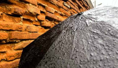 Ce que prévoit Météo France pour Toulouse et l'Occitanie, mercredi