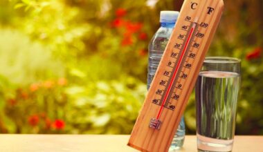 Météo : une vague de très forte chaleur débarque en France, ce n’est pas une si bonne annonce, voici pourquoi