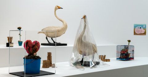 L’art et la science dialoguent au MO.CO