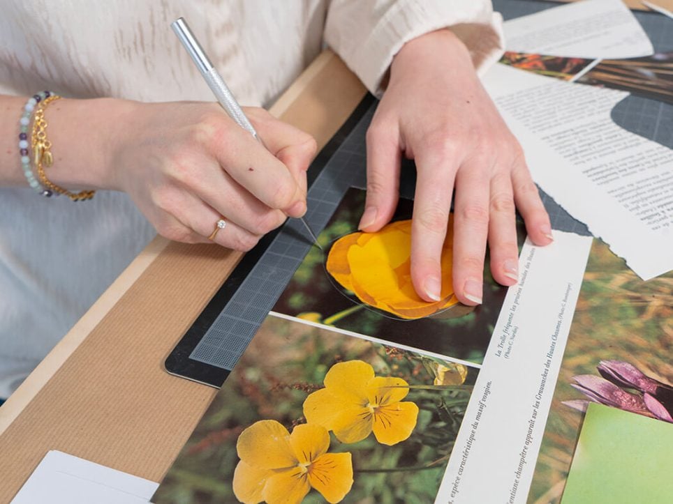 Éléonore False dans sa pratique du découpage et du collage