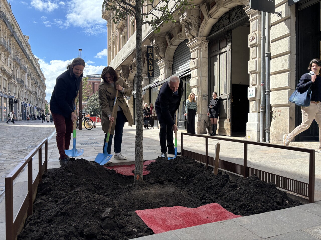 Toulouse. Plan 100 000 arbres plantés d'ici 2030 : quel bilan à mi-chemin ?