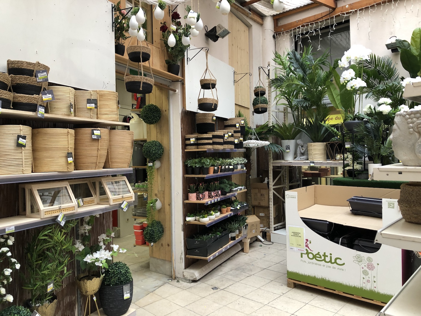 Mr bricolage plantes fleurs image00011