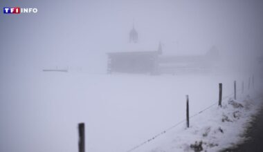 EN DIRECT - Fortes chutes de neige dans les Alpes : appel à la prudence face au "fort" risque d'avalanche ce vendredi