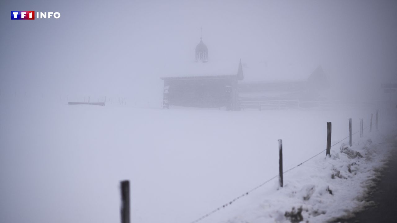 EN DIRECT - Fortes chutes de neige dans les Alpes : appel à la prudence face au "fort" risque d'avalanche ce vendredi