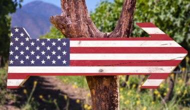 Donald Trump veut annexer les vignobles français "made in USA"
