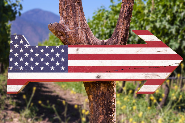 Donald Trump veut annexer les vignobles français "made in USA"
