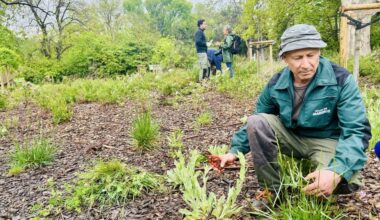 Renaturer le parc Maison-Blanche à l’heure du changement climatique