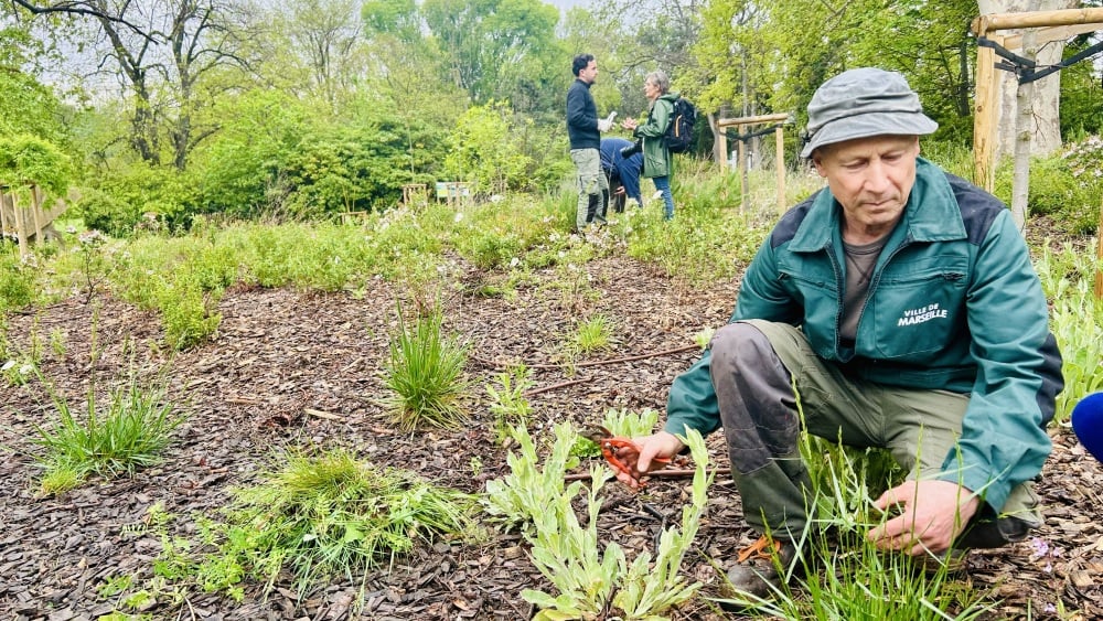Renaturer le parc Maison-Blanche à l’heure du changement climatique