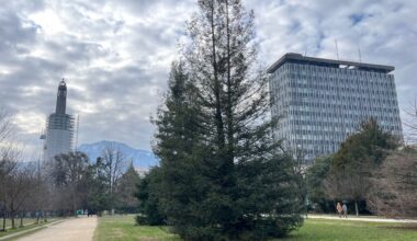 Grenoble. Deux élus interdits d'entrée en Palestine par Israël : une "incompréhension"