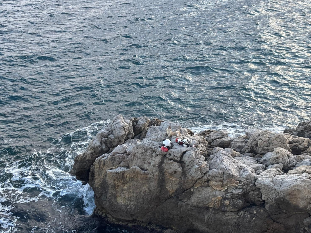 Nice. Des peluches (trop mignonnes) posées sur ses rochers au bord de mer