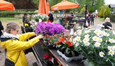 Strasbourg et alentours. Puces, marché aux plantes, guinguette... nos 5 idées pour s'occuper le 1er-Mai