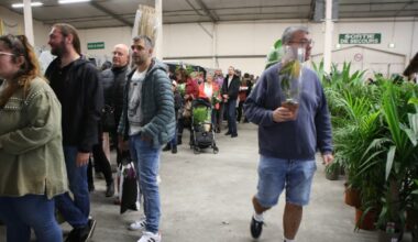 Grenoble. Une vente de plantes de printemps organisée le dimanche 27 avril
