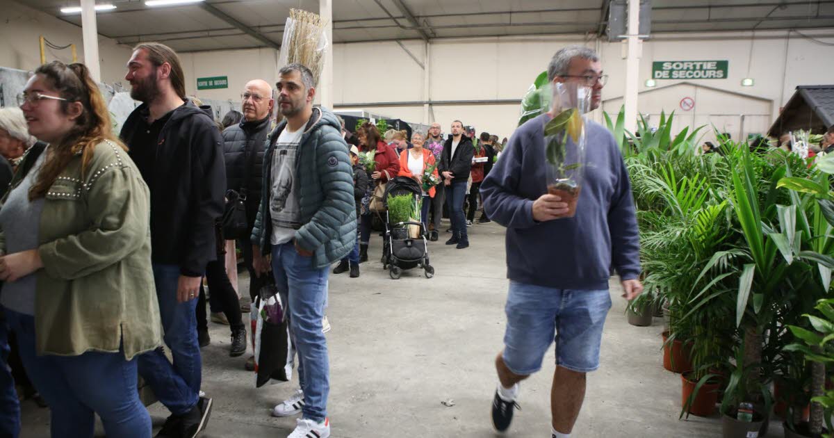 Grenoble. Une vente de plantes de printemps organisée le dimanche 27 avril