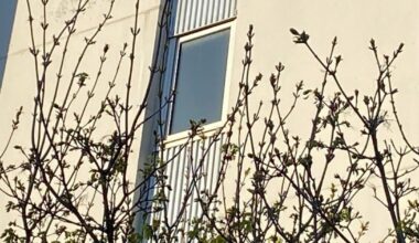 La Chasse aux œuvres. À quoi correspond cette image prise dans le Grand Nancy ?