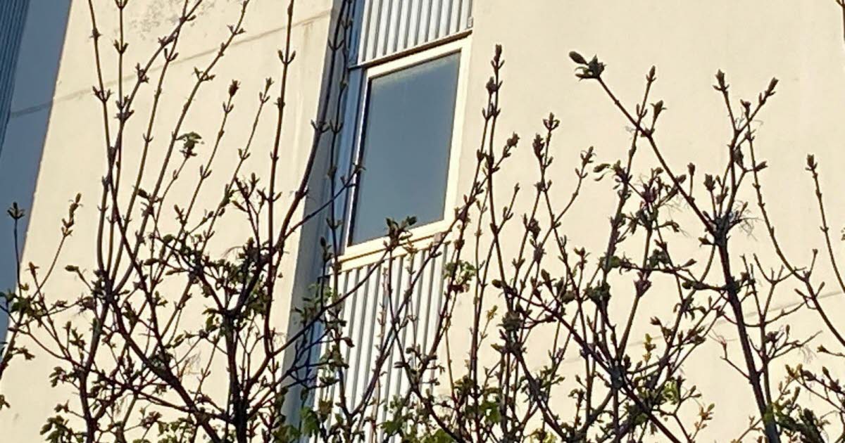 La Chasse aux œuvres. À quoi correspond cette image prise dans le Grand Nancy ?