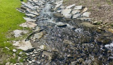 au sud de Lyon, le ruisseau de la Mouche retrouve sa vie sauvage