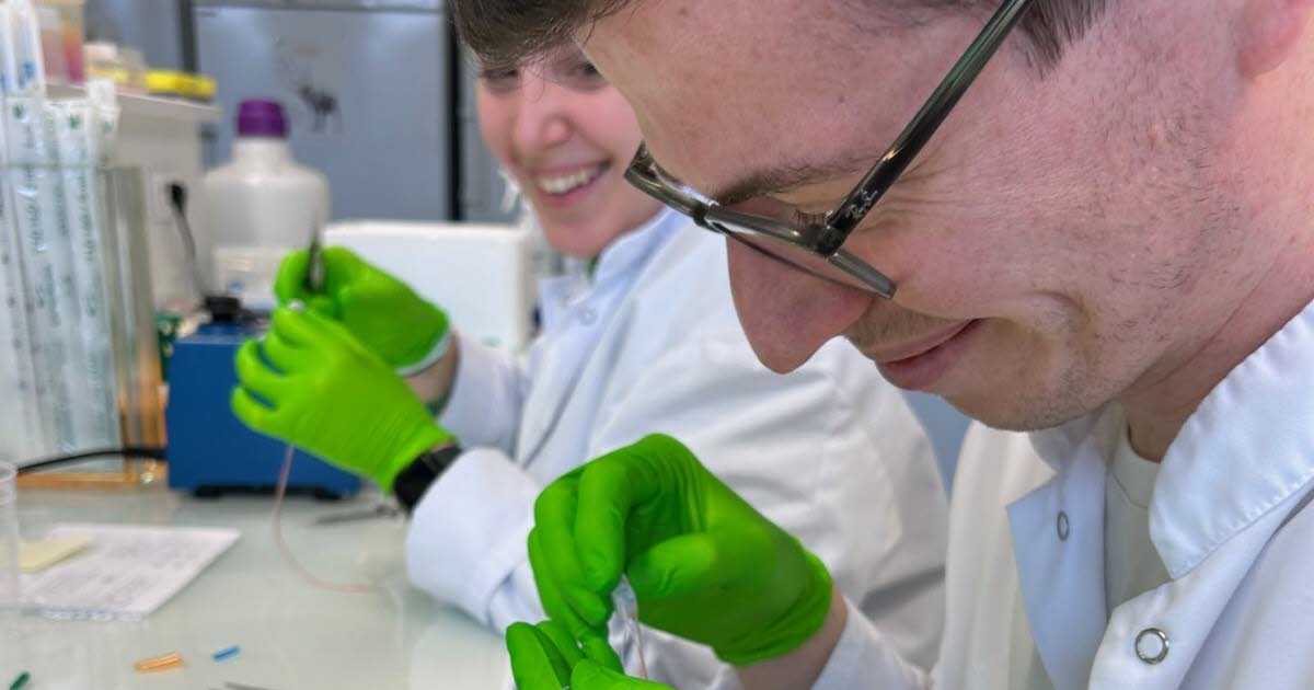 Sciences. Des chercheurs strasbourgeois font un pas de plus dans la compréhension de la maladie de Charcot