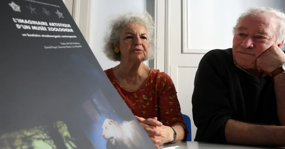 Strasbourg. L’imaginaire artistique du Musée zoologique se dévoile dans un livre