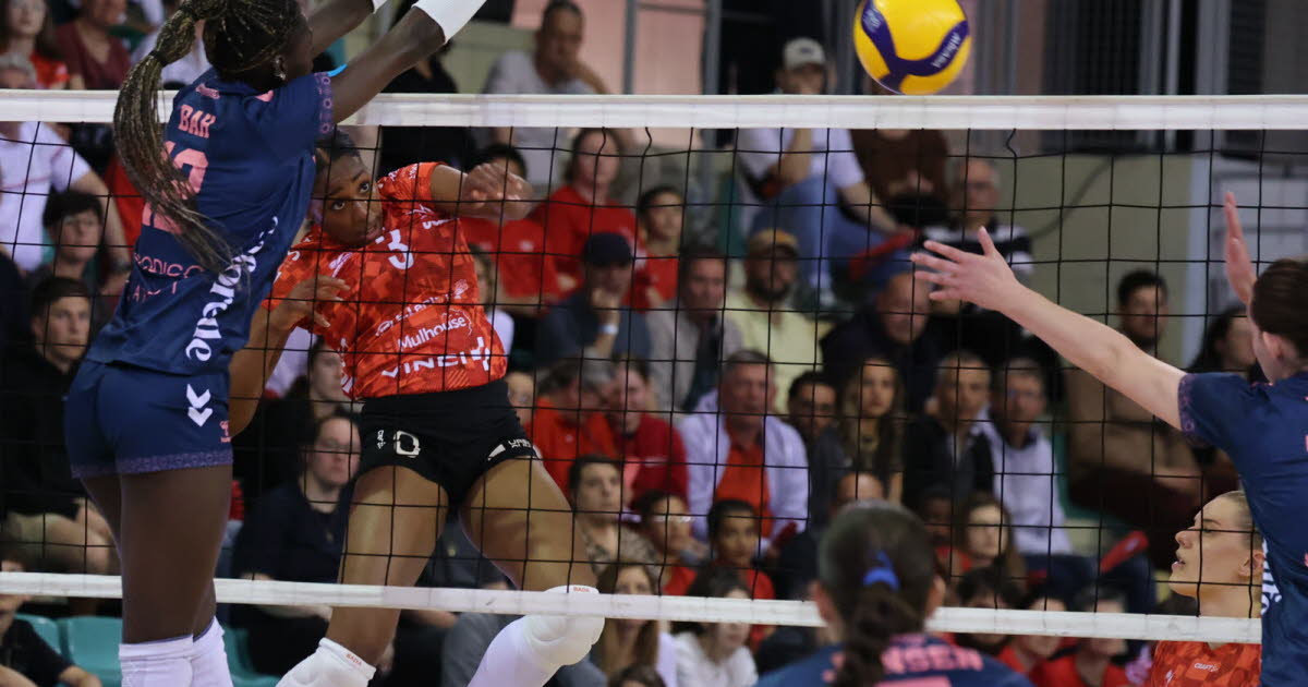 Volley-ball. Play-offs de Ligue A féminine : le Volley Mulhouse Alsace n’a plus de joker ce dimanche face à Nantes - L'Alsace