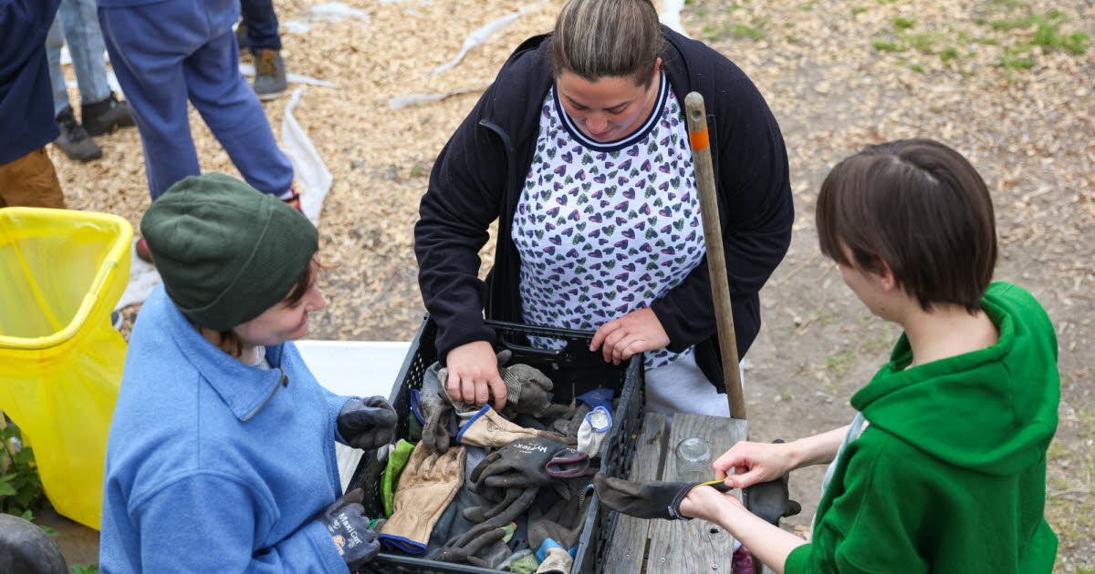 Strasbourg. Planter, bricoler, arroser.... On a testé l’atelier « Dimanche au jardin » de l’Orée 85