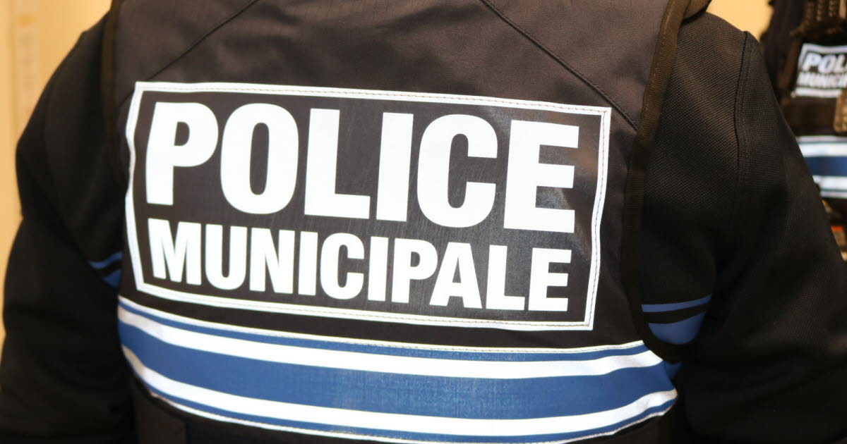 Métropole de Lyon. Les pleurs d’un chien provoquent la découverte de drogue et d’armes
