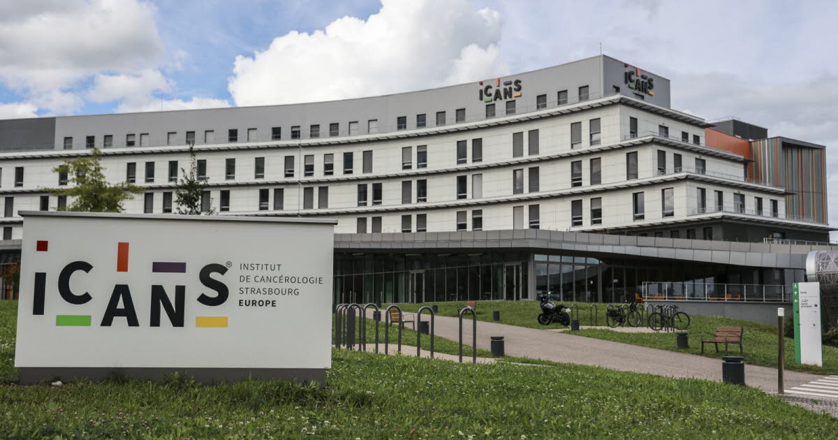 Formation. Job dating et portes ouvertes à l’Icans à Strasbourg