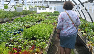 Loire. Sur ce campus agricole, élèves et apprentis cultivent des plants puis les vendent sur place