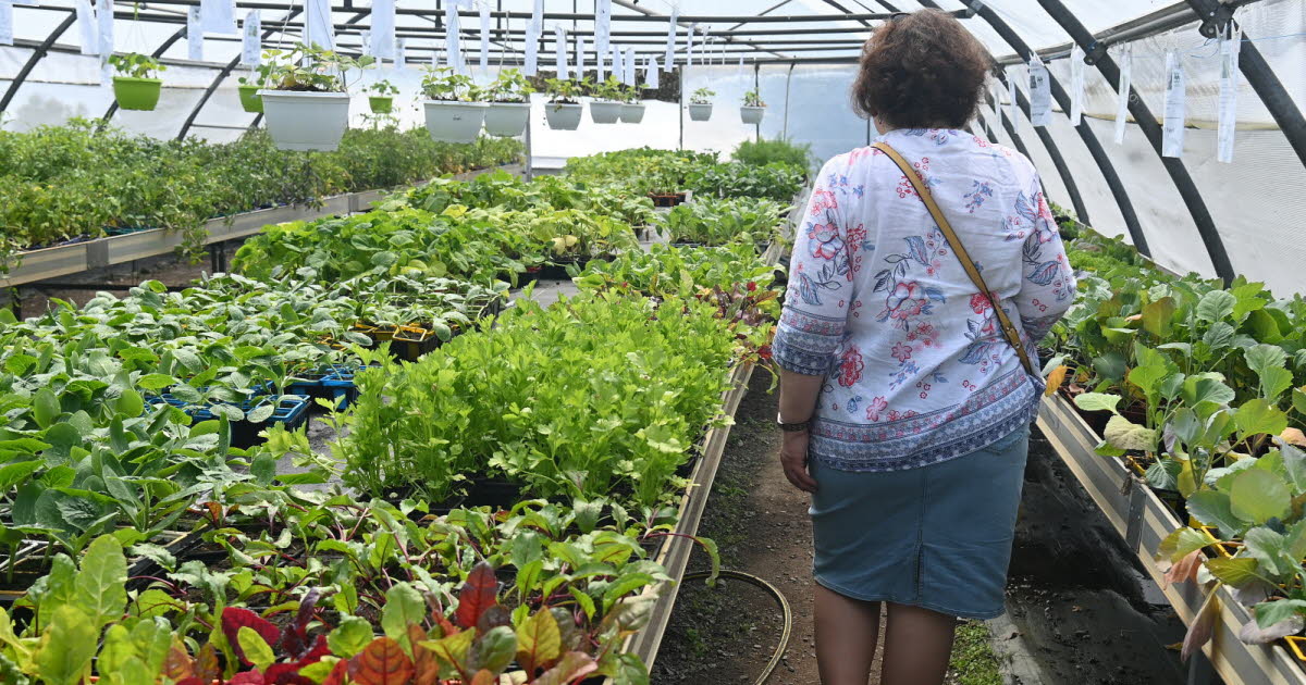 Loire. Sur ce campus agricole, élèves et apprentis cultivent des plants puis les vendent sur place