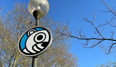 Nancy. Le singe Jojo fait son « retour » à la Pépinière grâce à un street-artiste
