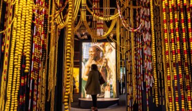 Grenoble. Une conférence autour de l’exposition Pays bassari le vendredi 18 avril