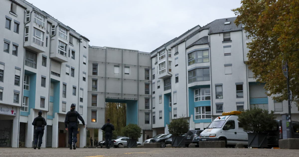 Grenoble. Cinq suspects interpellés dans le quartier Hoche, des armes et de la drogue saisies