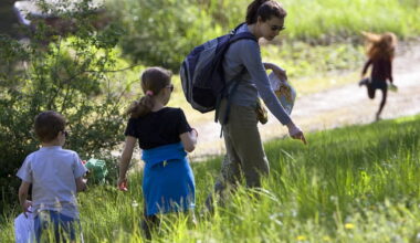 faites le plein de chasse aux œufs ce week-end