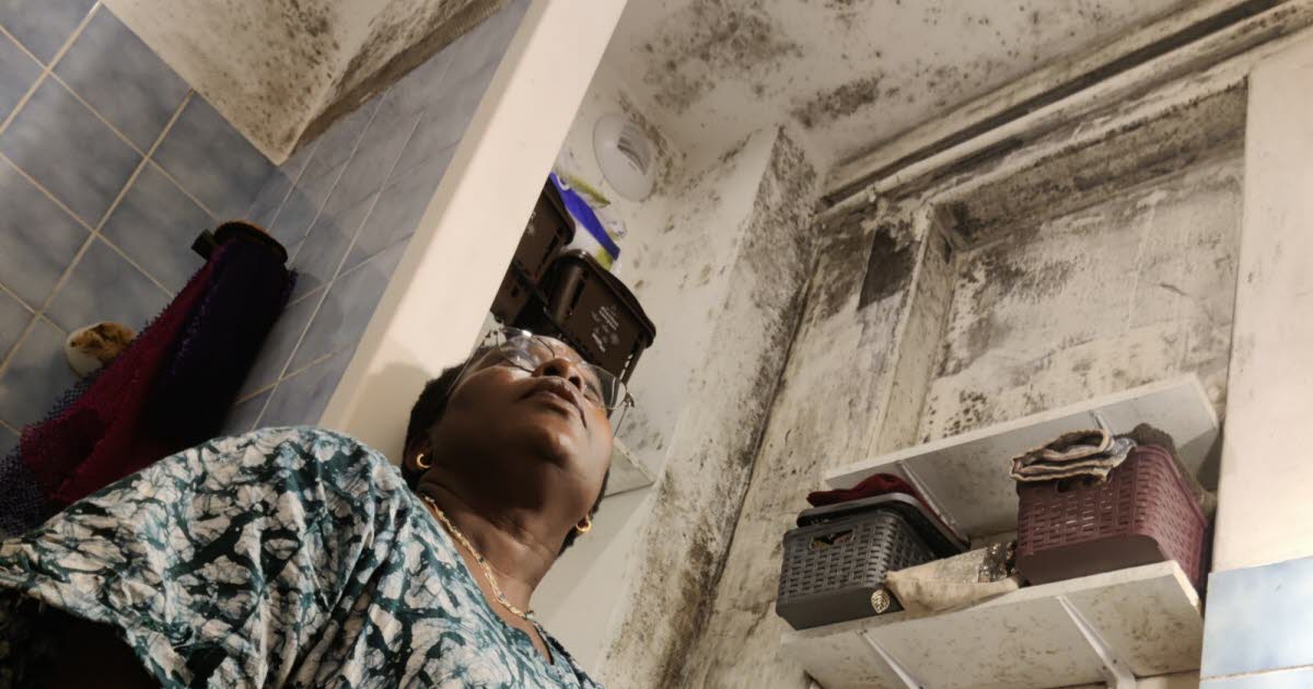 son appartement est envahi par la moisissure, elle demande un relogement d’urgence
