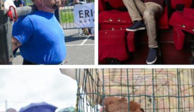 Loisirs. Des super-héros à Bar-le-Duc, de l'humour à Nancy et les animaux s'exposent dans les Vosges... 9 idées de sorties ce week-end en Lorraine
