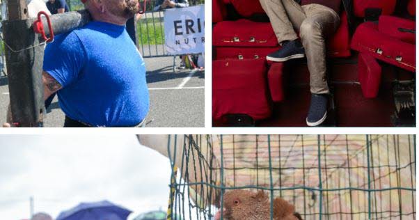 Loisirs. Des super-héros à Bar-le-Duc, de l'humour à Nancy et les animaux s'exposent dans les Vosges... 9 idées de sorties ce week-end en Lorraine