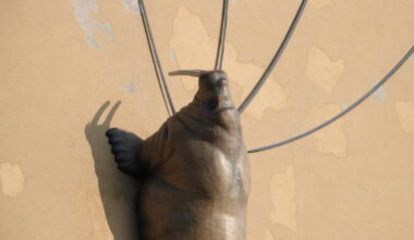 La chasse aux œuvres. À quoi correspond cette image prise à Nancy ?