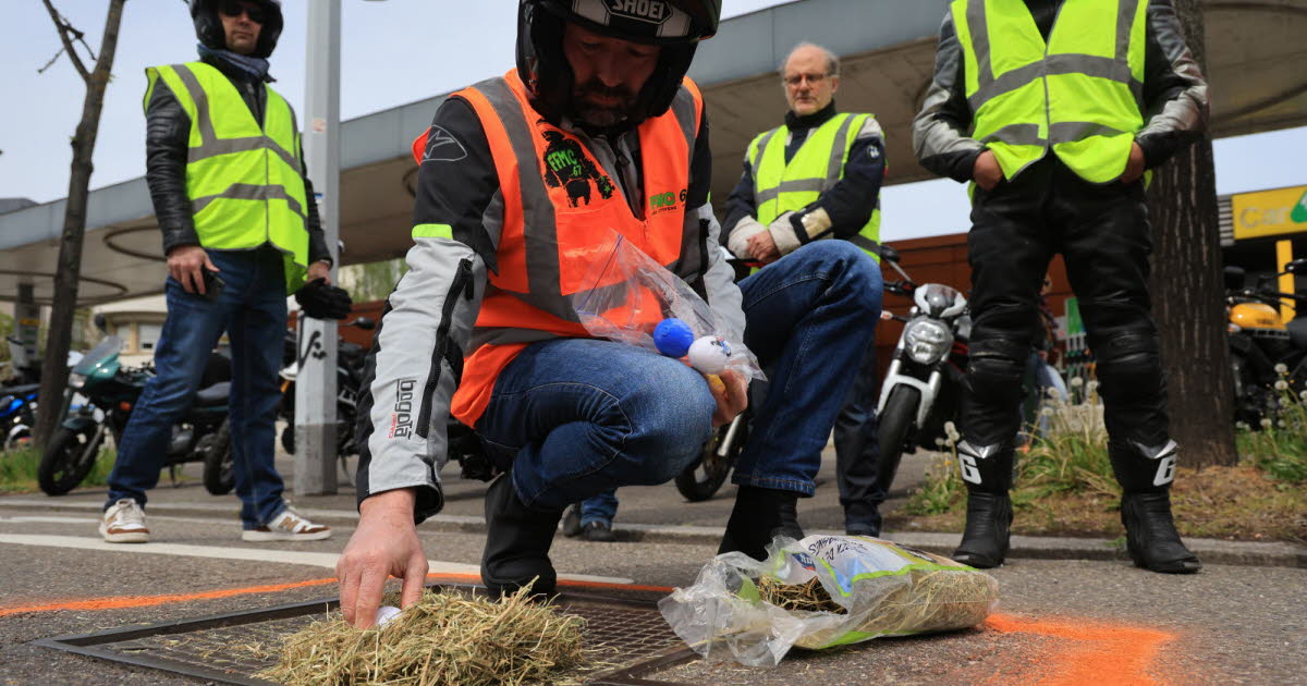 Bas-Rhin. Des motards signalent les nids-de-poule avec des œufs de Pâques
