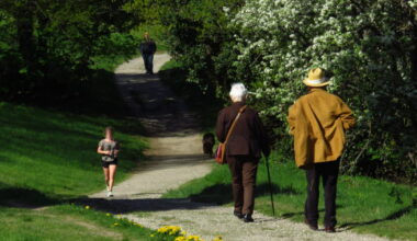 Saint-Étienne. Verdure, aires de jeux, pique-nique... Notre Top 10 des grands parcs où profiter du printemps