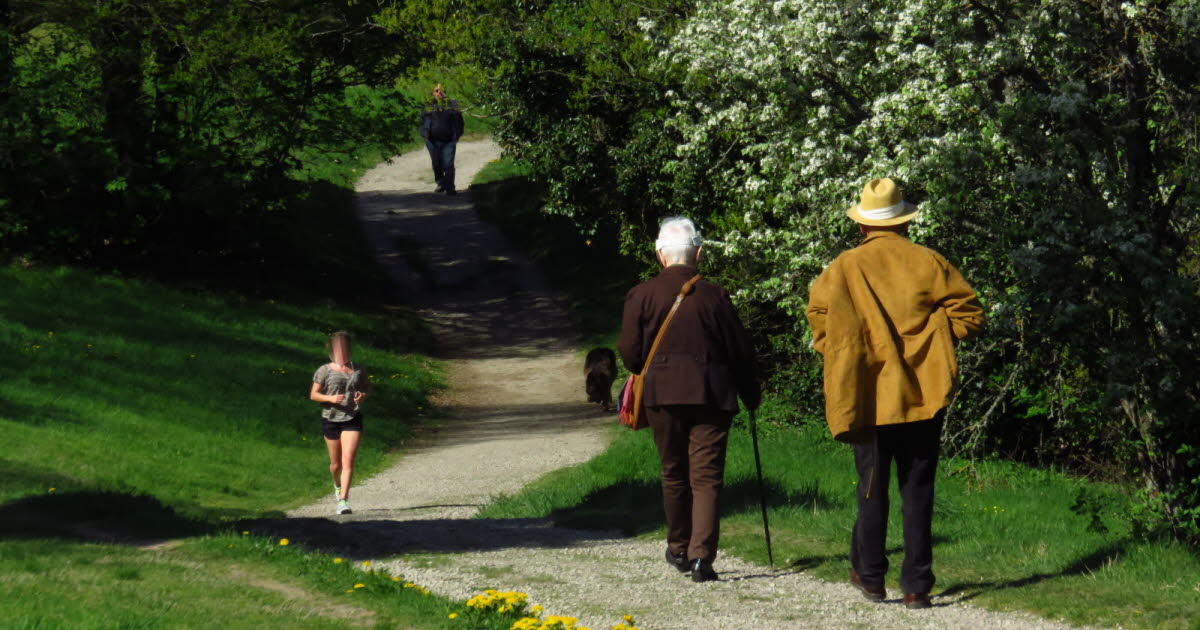 Saint-Étienne. Verdure, aires de jeux, pique-nique... Notre Top 10 des grands parcs où profiter du printemps