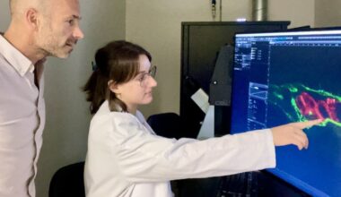 Sciences. Des chercheurs de Strasbourg identifient une nouvelle piste pour lutter contre la formation des métastases