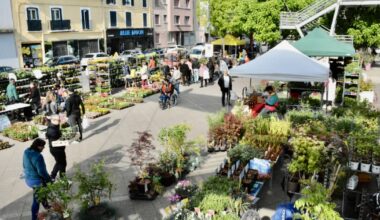Saint-Martin-d’Hères. Le Marché aux fleurs revient pour une 30e édition ce samedi 26 avril