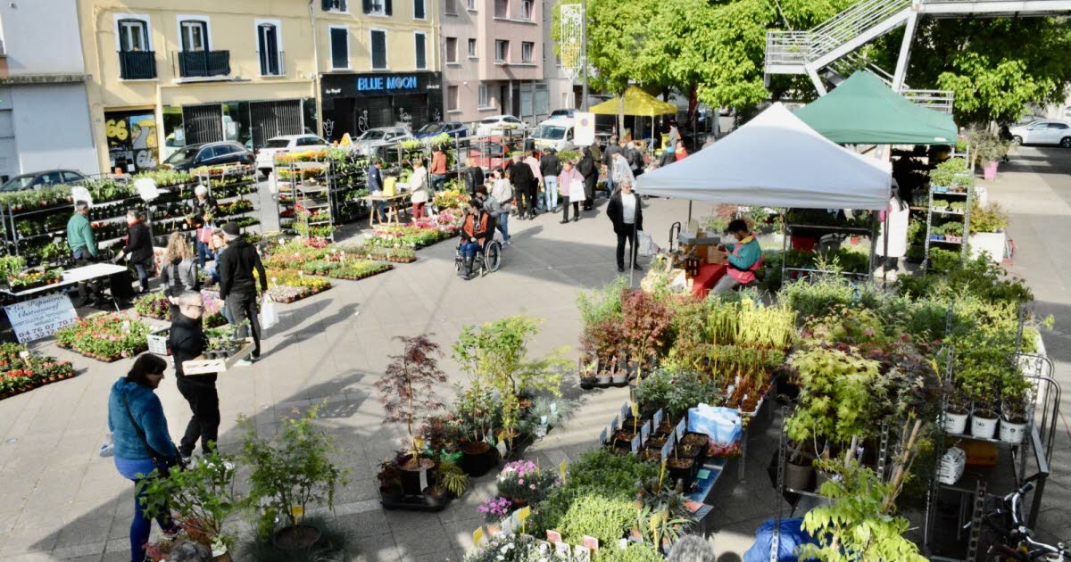 Saint-Martin-d’Hères. Le Marché aux fleurs revient pour une 30e édition ce samedi 26 avril