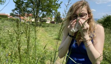 Métropole de Lyon. Vous souffrez d’allergies ? Voici une carte interactive pour éviter les pollens