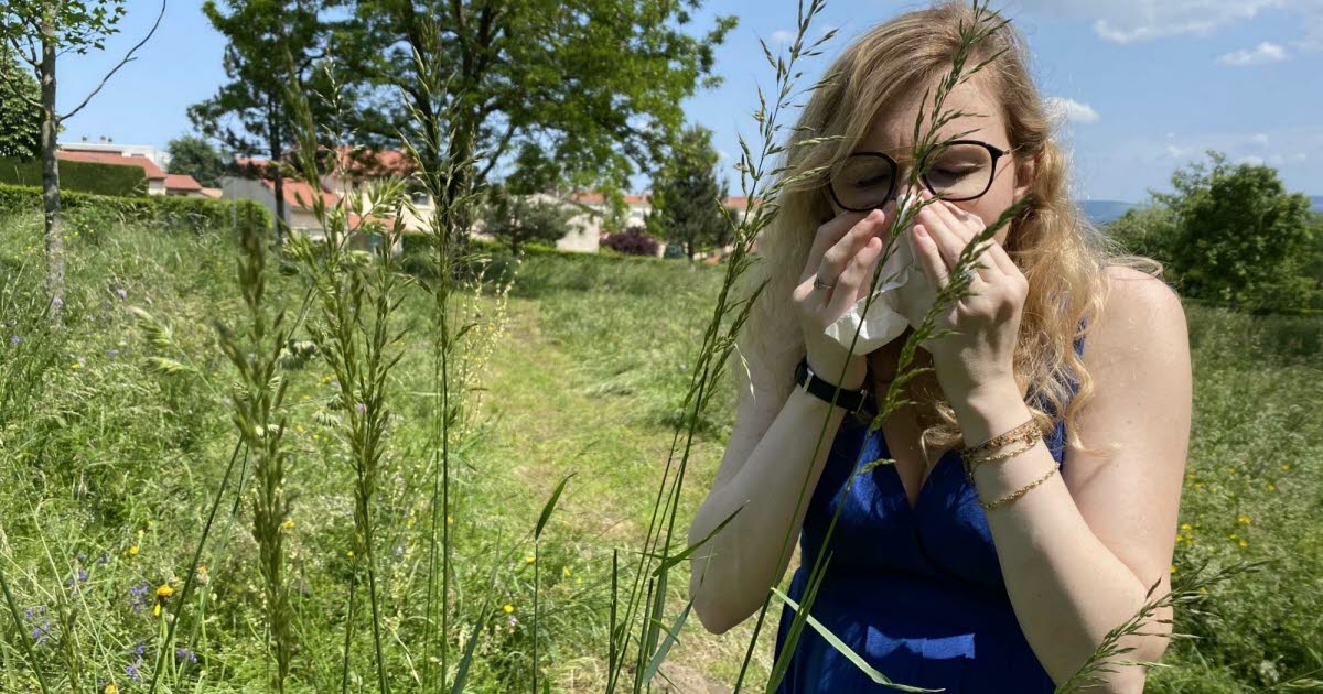Métropole de Lyon. Vous souffrez d’allergies ? Voici une carte interactive pour éviter les pollens