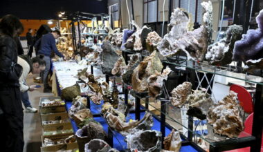 Bourse-exposition aux minéraux fossiles et insectes