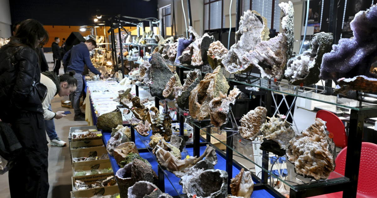 Bourse-exposition aux minéraux fossiles et insectes