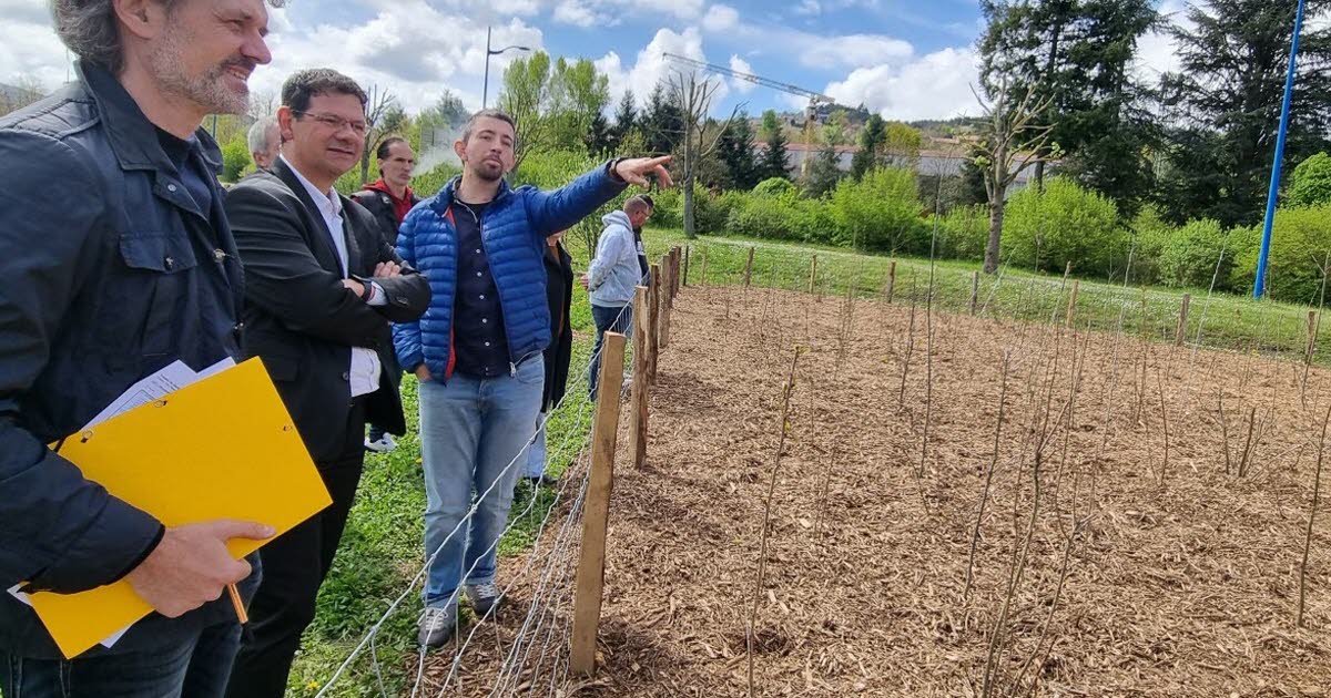Unieux. Avec ses 5400 plants, une micro-forêt prend racine au parc Nelson-Mandela