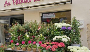 une vente de plantes au kilo organisée ce week-end
