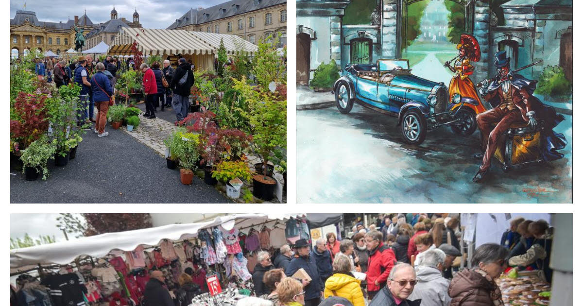 Loisirs. Plantes à Lunévillle, BD à Jarville, grenouilles à Vittel... 9 idées de sorties en Lorraine
